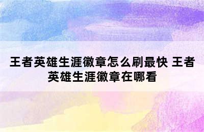 王者英雄生涯徽章怎么刷最快 王者英雄生涯徽章在哪看